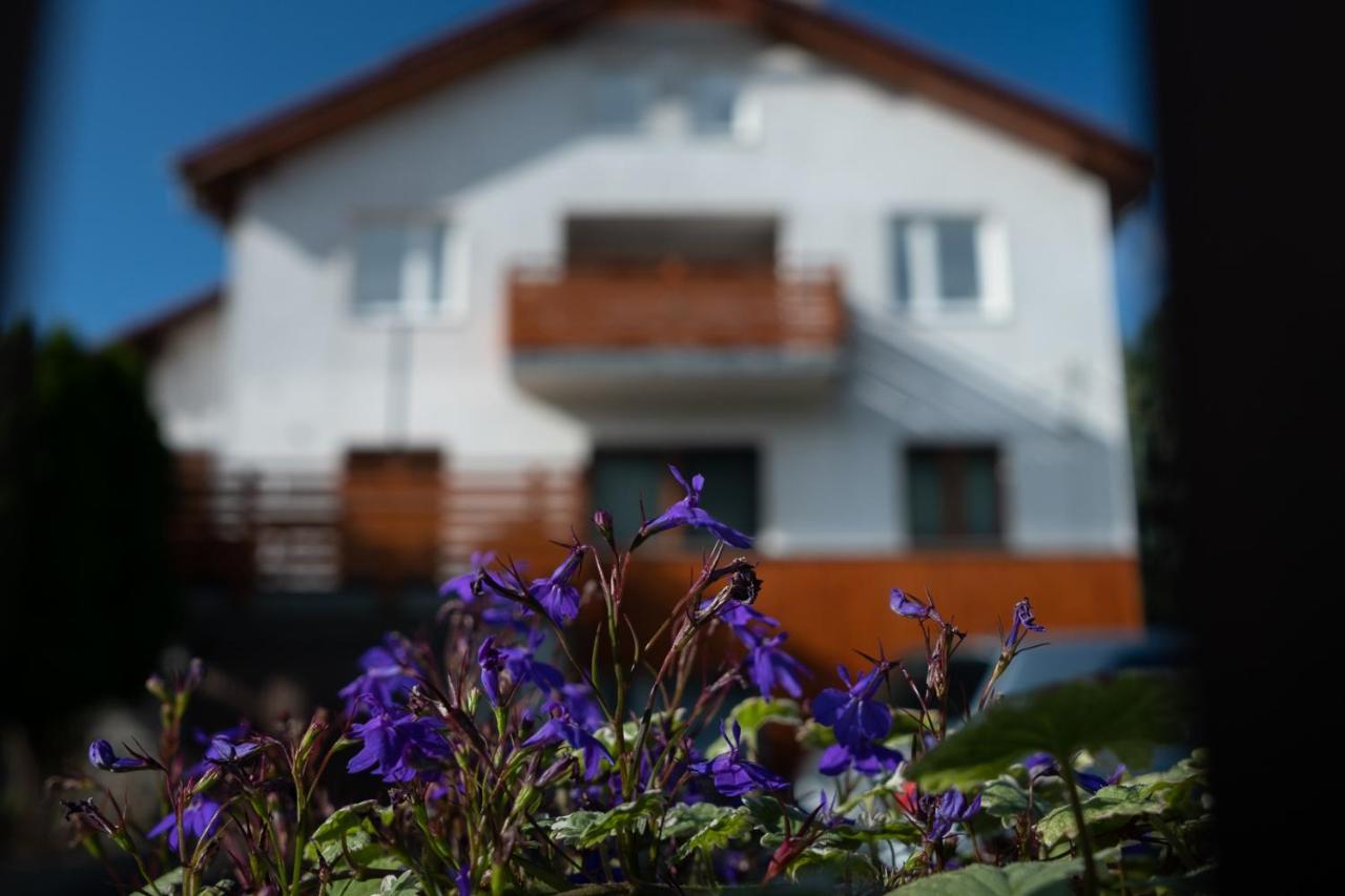 Apartamenty Karkonosze Gory Izerskie เปียโควิเซ ภายนอก รูปภาพ